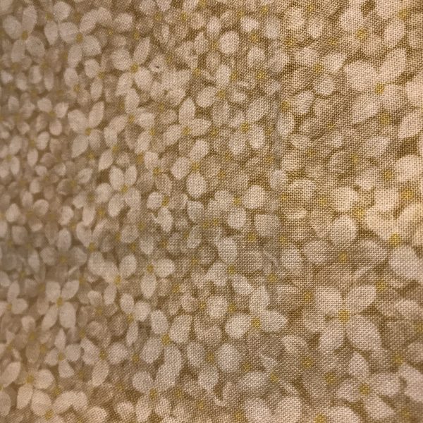 536DC0D3-BA4F-4767-B791-72EE7D4277C9